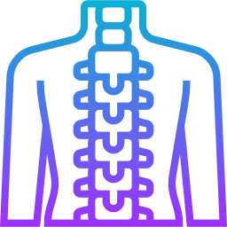 25 Chiropractic appointments